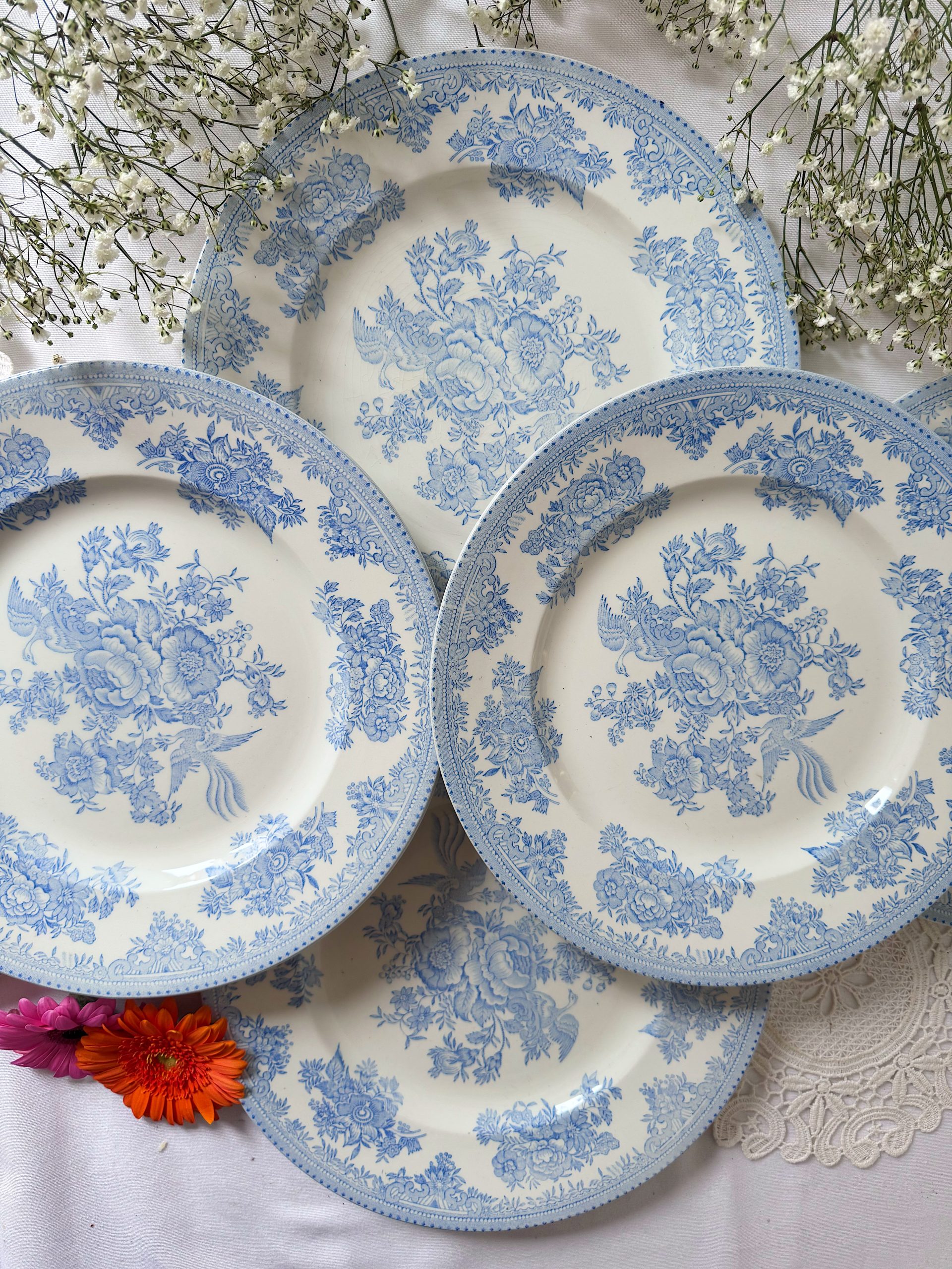6-assiettes-plates-burleigh-asiatic-pheasants-le-grenier-d-ad-le