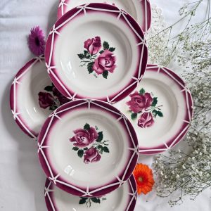 6 assiettes creuses Sarreguemines Cibon