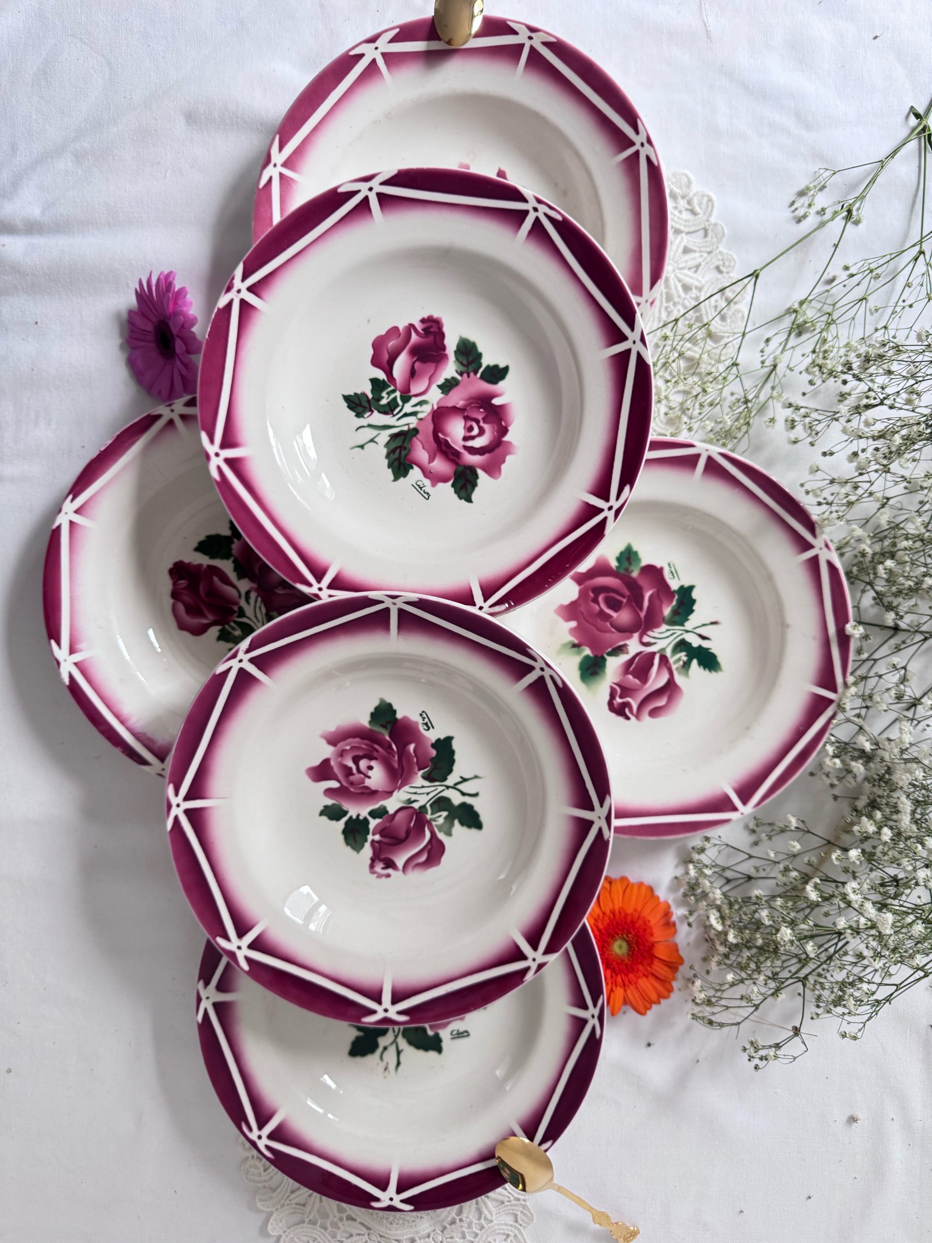 6 assiettes creuses Sarreguemines Cibon