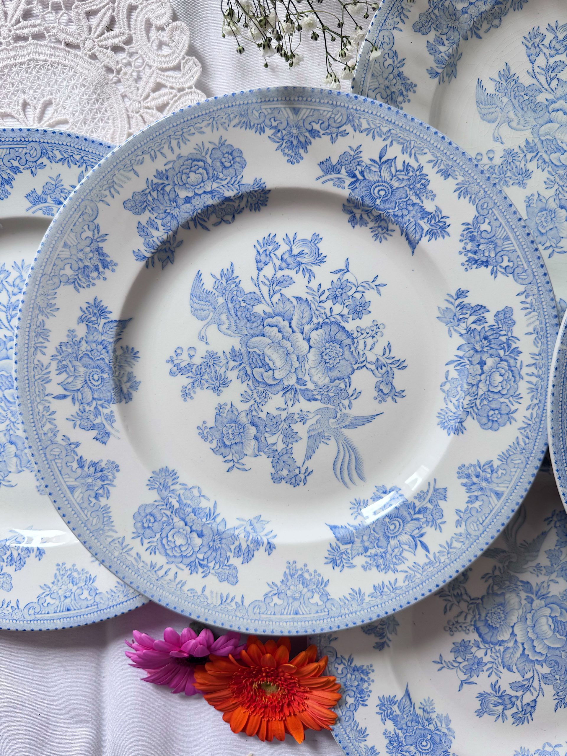 6-assiettes-plates-burleigh-asiatic-pheasants-le-grenier-d-ad-le