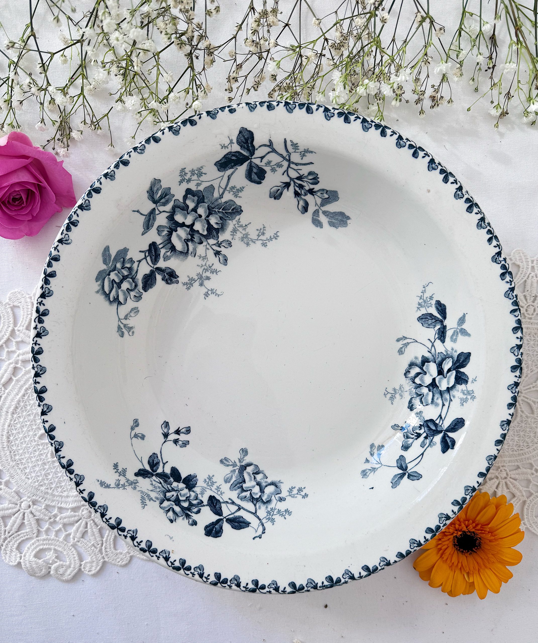 plat creux Saint-Amand Acacia