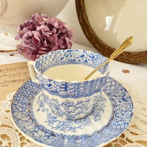 Tasse porcelaine anglaise fleurs bleues