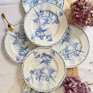 6 assiettes à dessert Creil et Montereau chardon