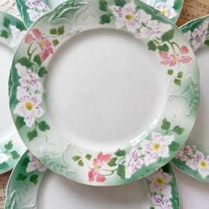 5 assiettes plates fleuries Saint-Amand (réservées Ludivine)