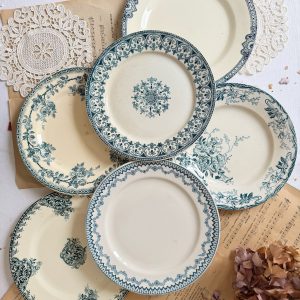 6 assiettes plates dépareillées bleues terre de fer