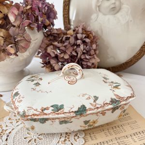 Légumier polychrome Lunéville Passiflore