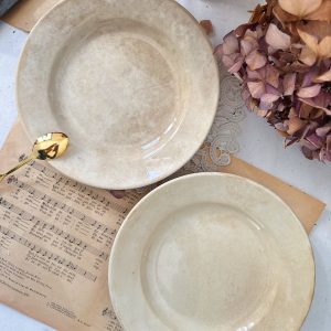 Paire d'assiettes blanches patinées terre de fer