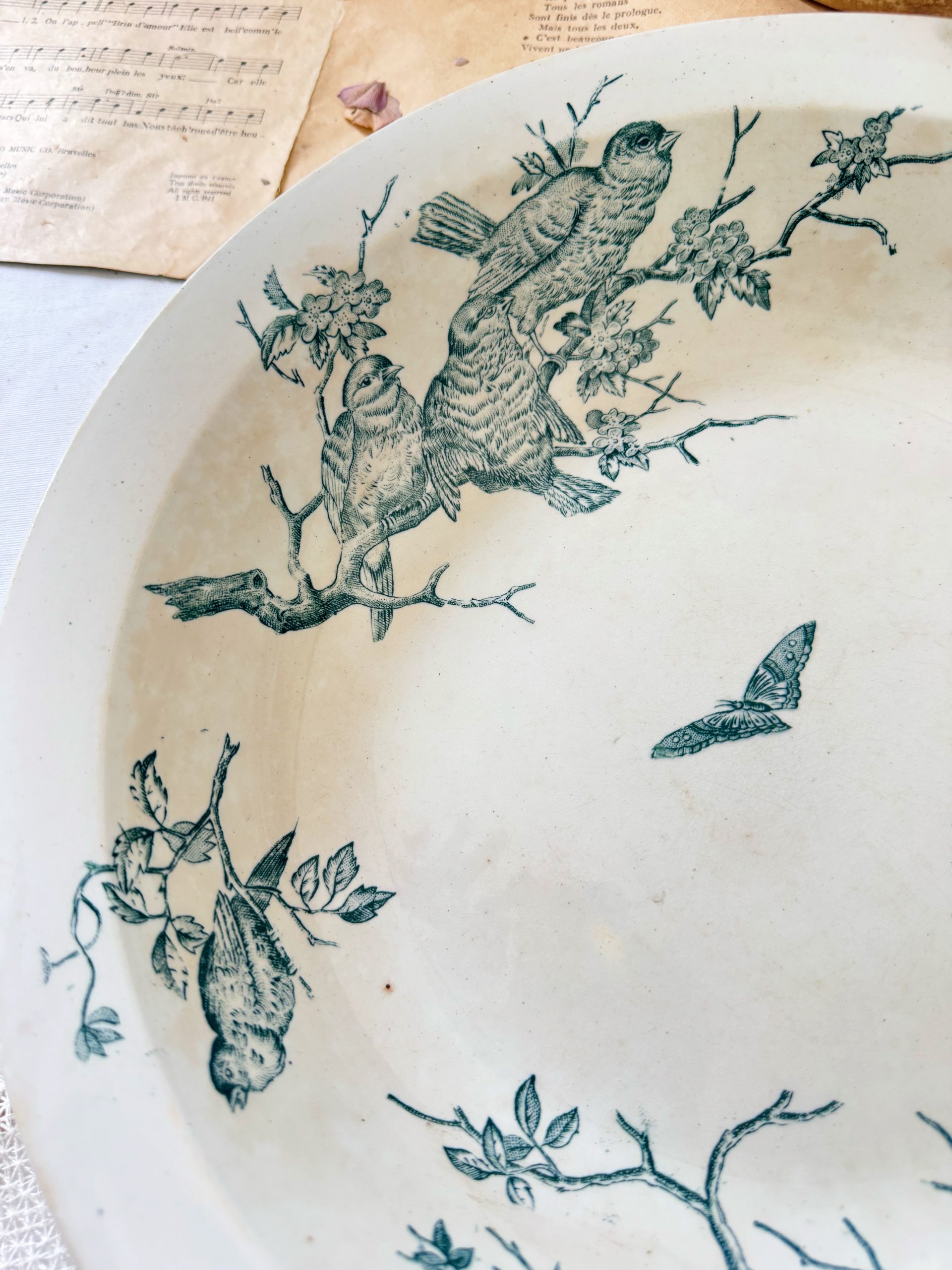 Plat creux Saint-Amand oiseaux – Image 2