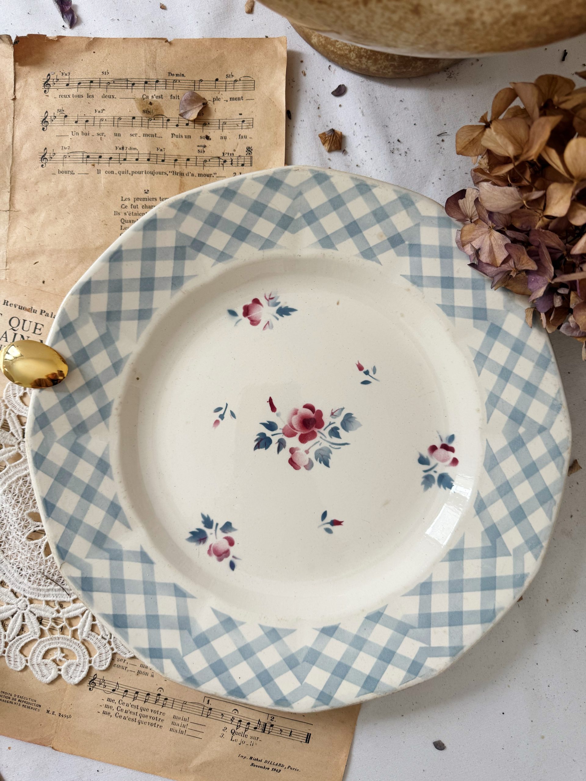 Plat Digoin Sarreguemines Bastia