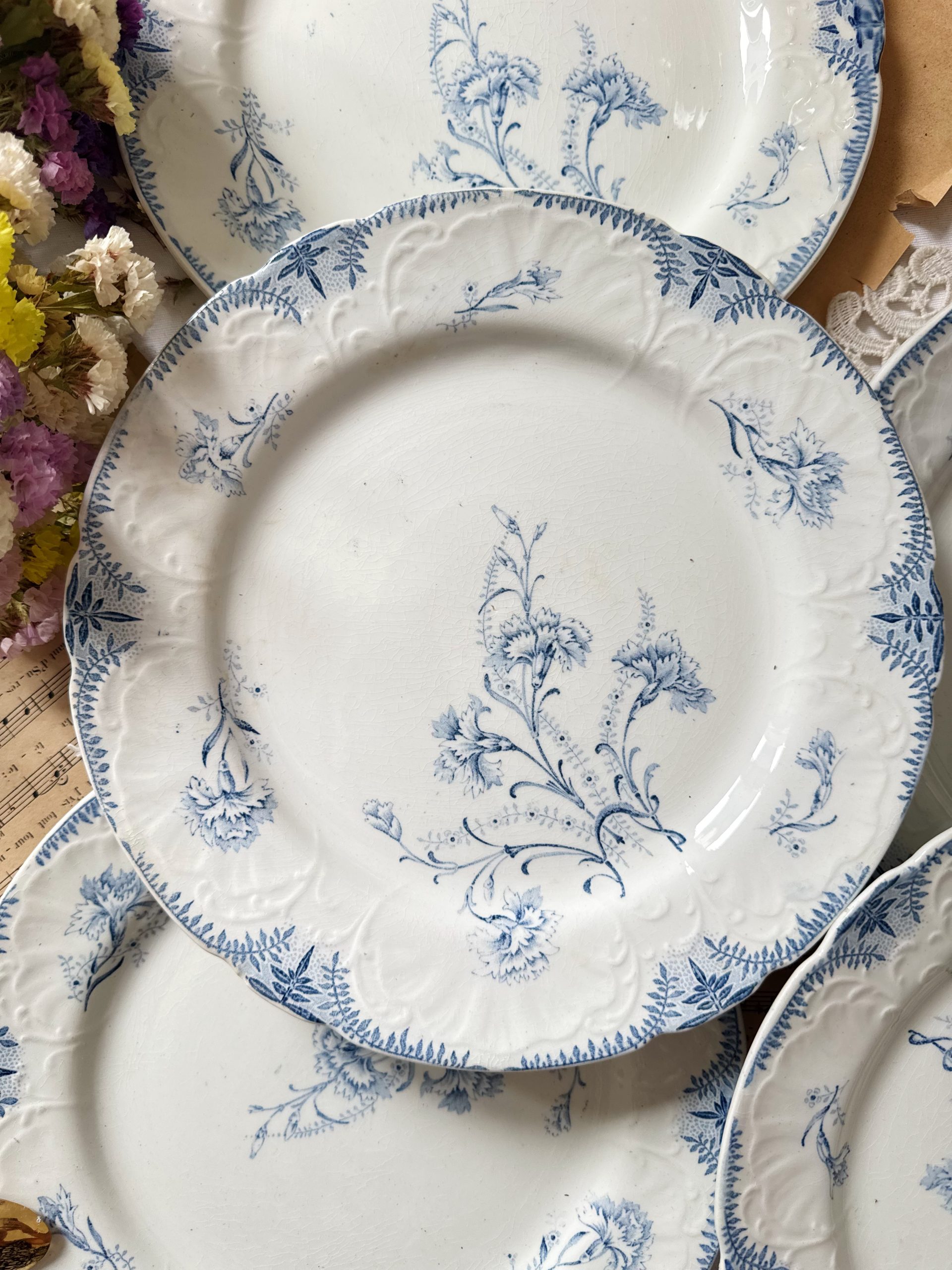 6 assiettes plates Lunéville oeillets Hélène