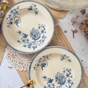 2 assiettes creuses Creil et Montereau perruches