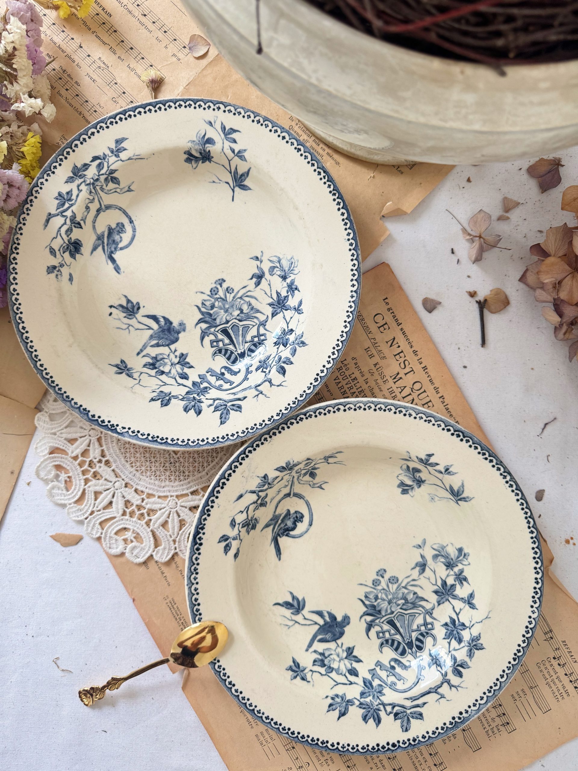2 assiettes creuses Creil et Montereau perruches