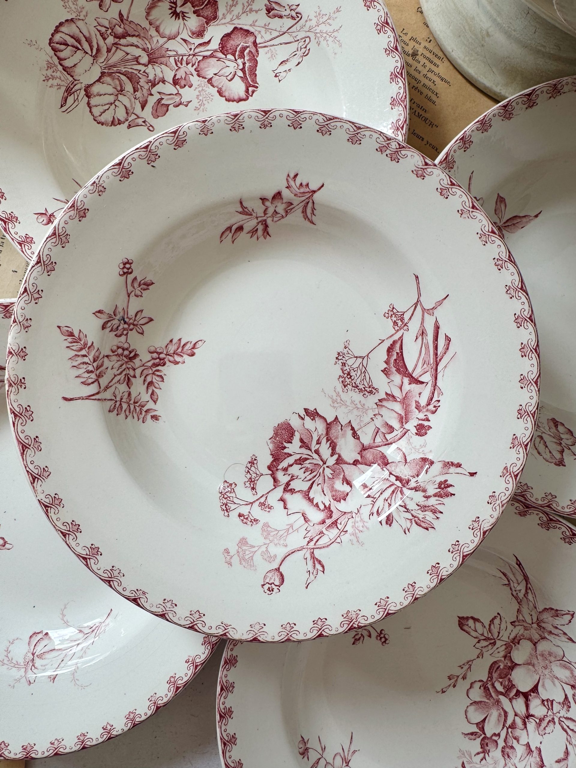 6 assiettes creuses roses Sarreguemines Vega