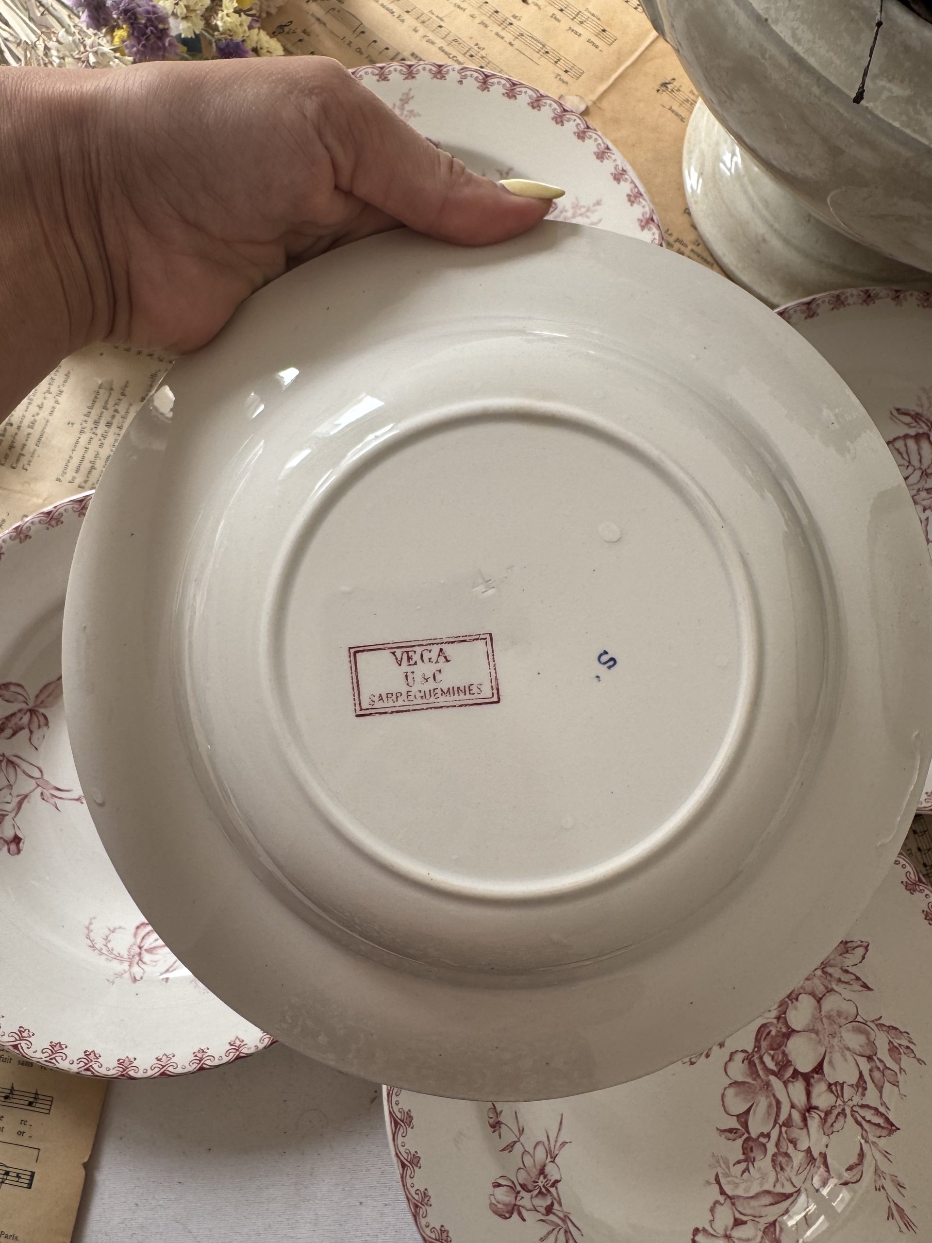 6 assiettes creuses roses Sarreguemines Vega – Image 3