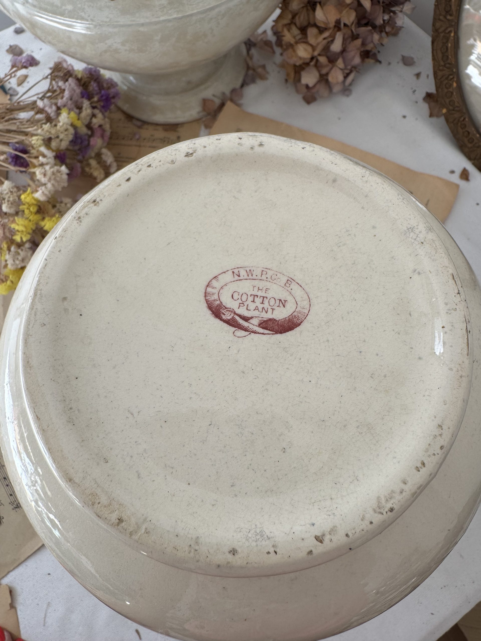 Grand Broc rose terre de fer fleurs – Image 4