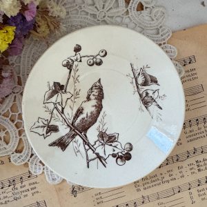 Coupelle oiseau sépia Choisy le Roi
